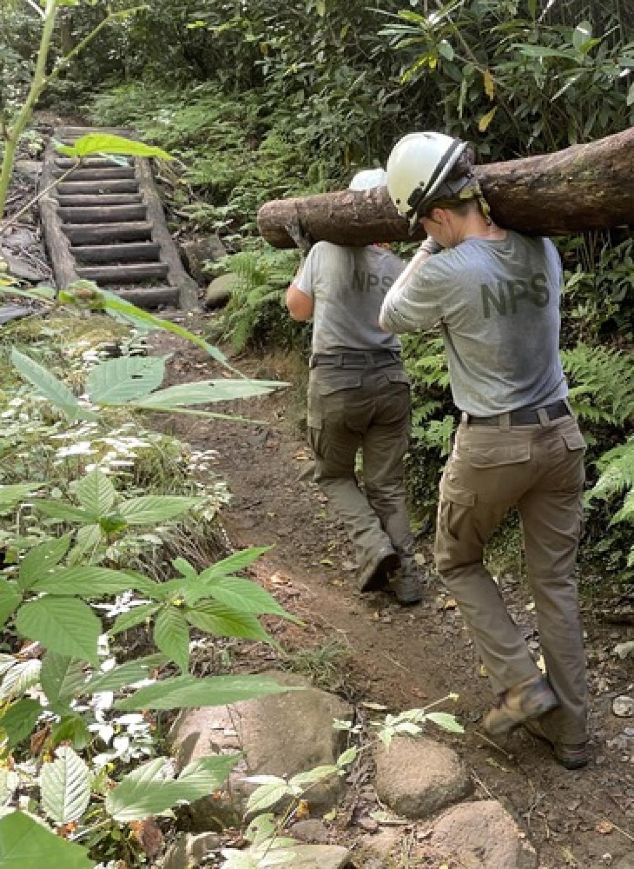 Deploying 1,200 logs. Back-breaking labor!