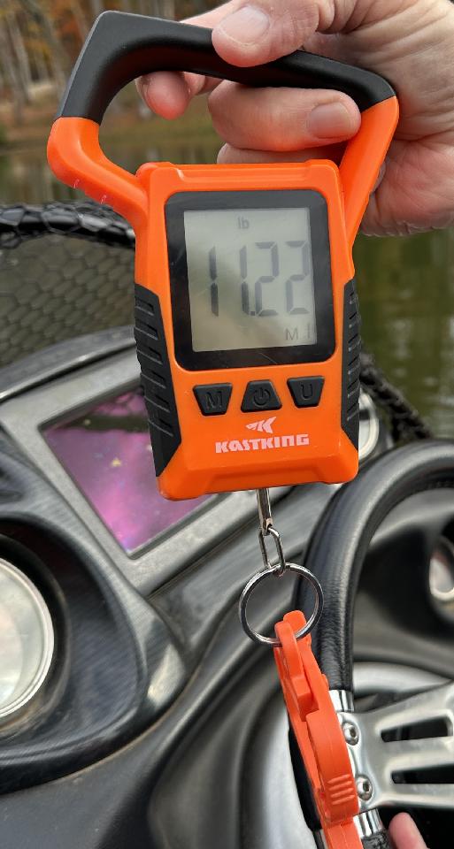 IMG_3142.JPG