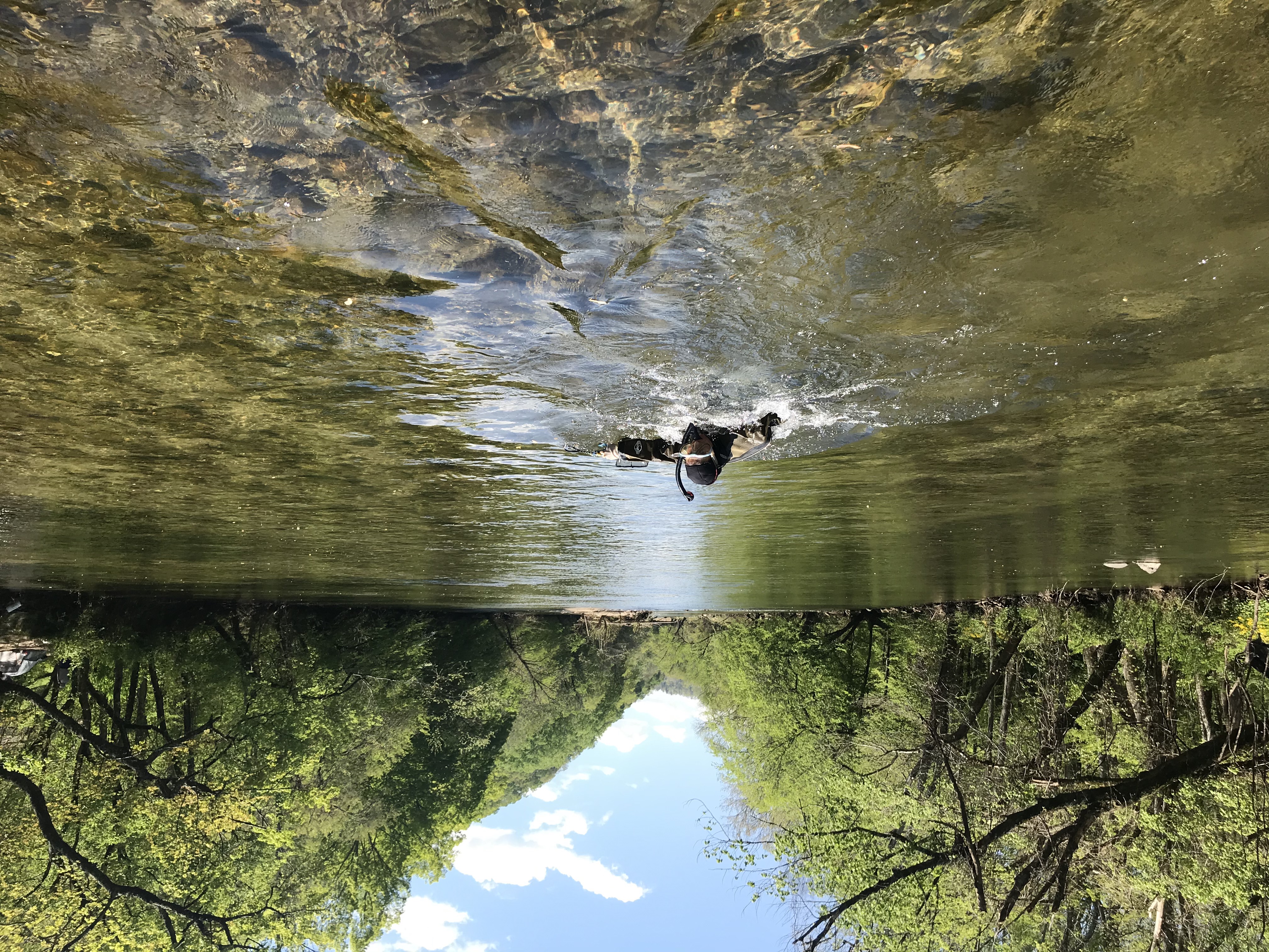 fresh water Conservation Fisheries